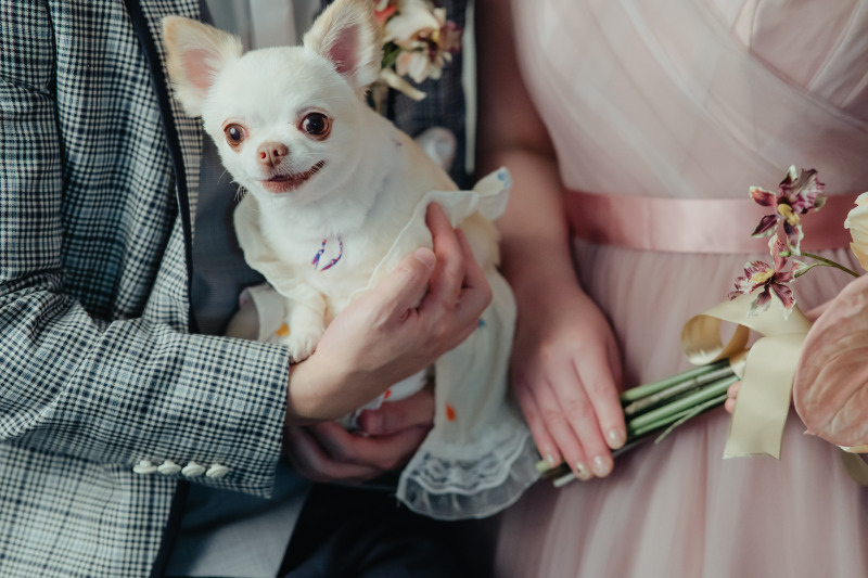 Creators'Genic_ペットと一緒に撮影できる