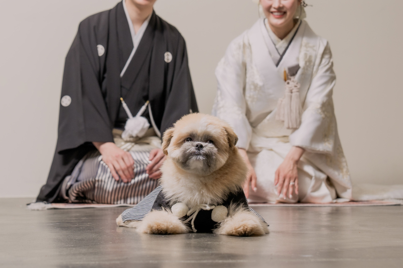 【3月末までの撮影限定50%OFF】和装1点&館内のお好きなスポット選べる154,000円→77,000円/60分・70カット