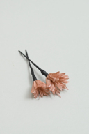 髪飾り【ドライフラワー】