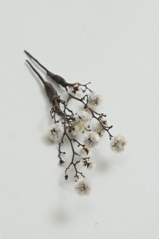 髪飾り【ドライフラワー】