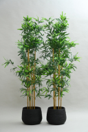 小物　スタジオ用【笹竹】