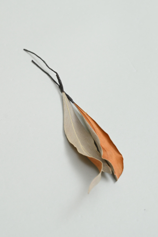 髪飾り【ドライフラワー】