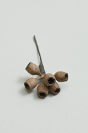 髪飾り【ドライフラワー】