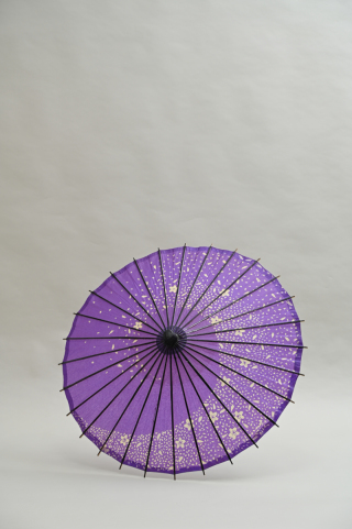 小物　スタジオ用番傘【模様あり青】