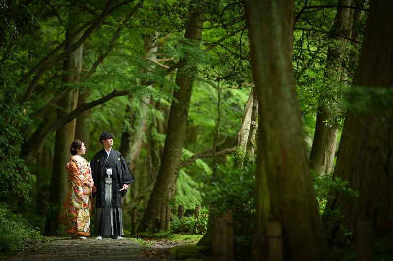 落ち着いた雰囲気で