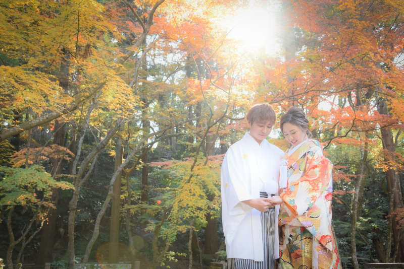 11月の成田山公園