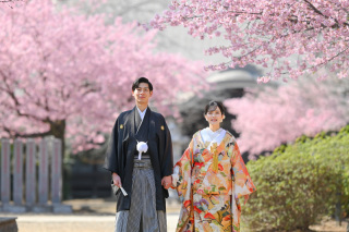東勝寺の早咲の桜・河津桜！3月上旬～中旬！　