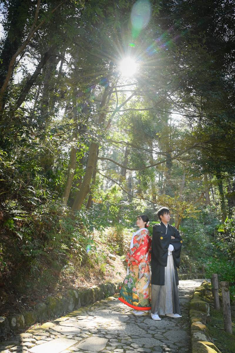 太陽光を入れて