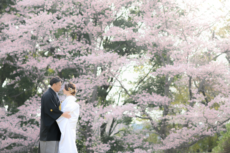 旧堀田邸からスタート