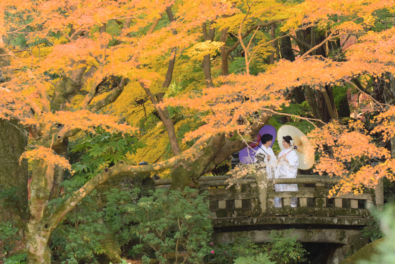 11月の成田山公園