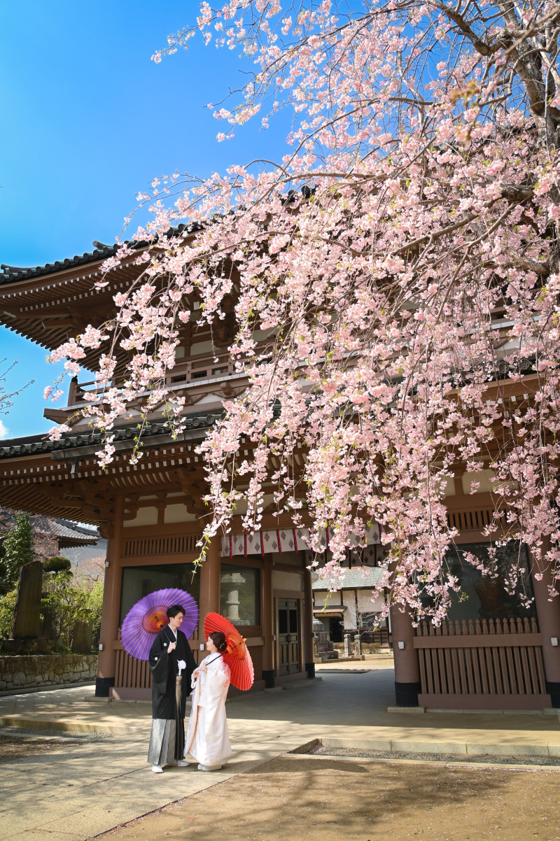 4月のロケーション2カ所