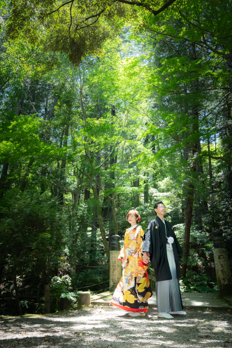 木漏れ日をいれて