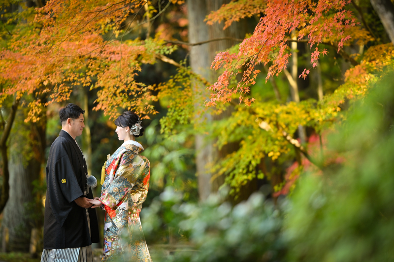 11月の成田山公園♡