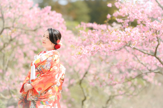 3月の成田山公園