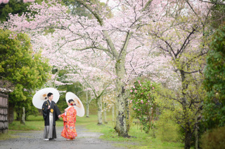雨の日の成田山公園