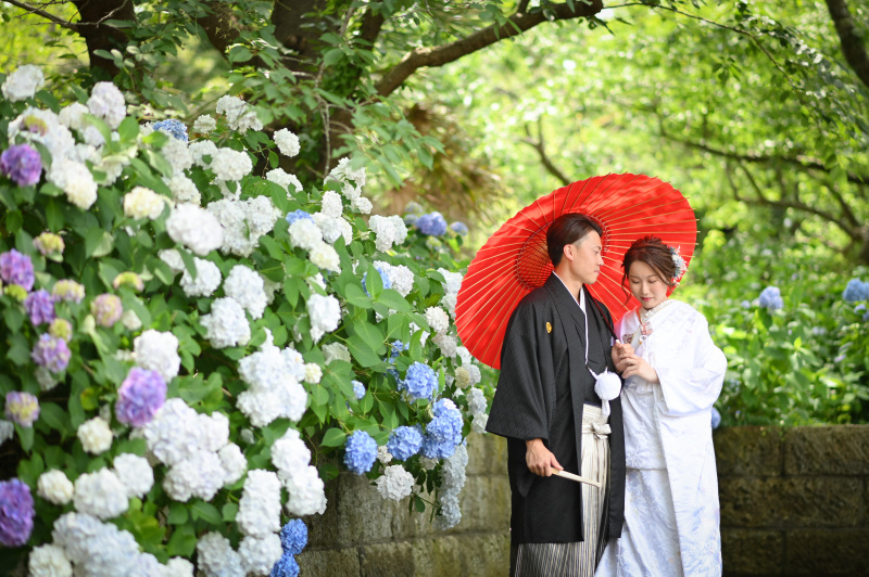 アジサイと一緒に