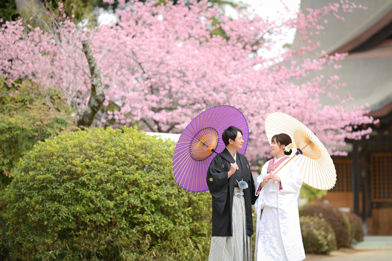 河津桜に囲まれて♡