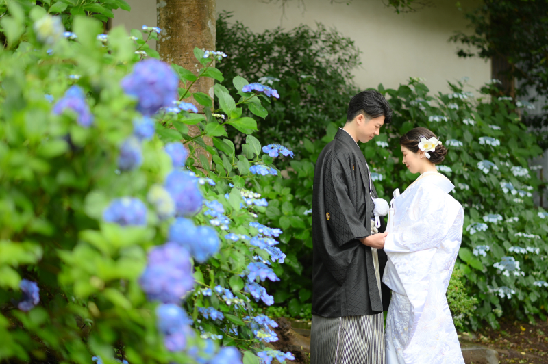 あじさい埋もれショット!