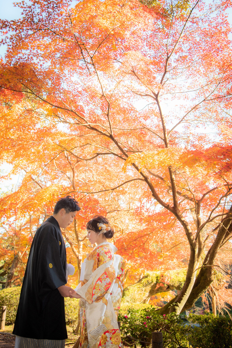 紅葉ベストシーズン！