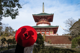 １月の成田山公園