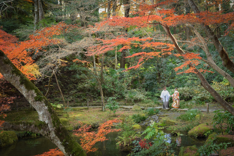 景色を広く入れて