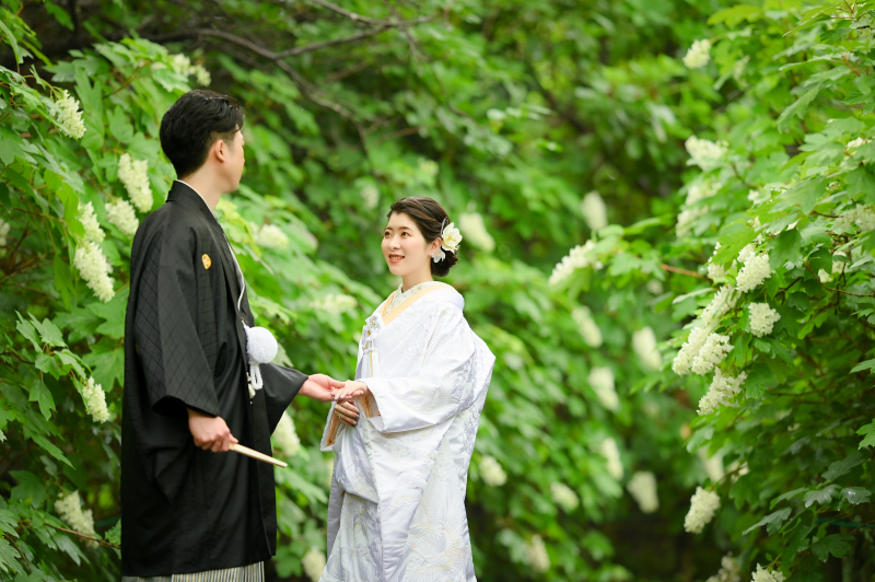 柏葉あじさいといいます❀