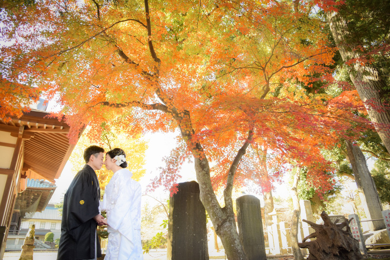 秋のグラデーション