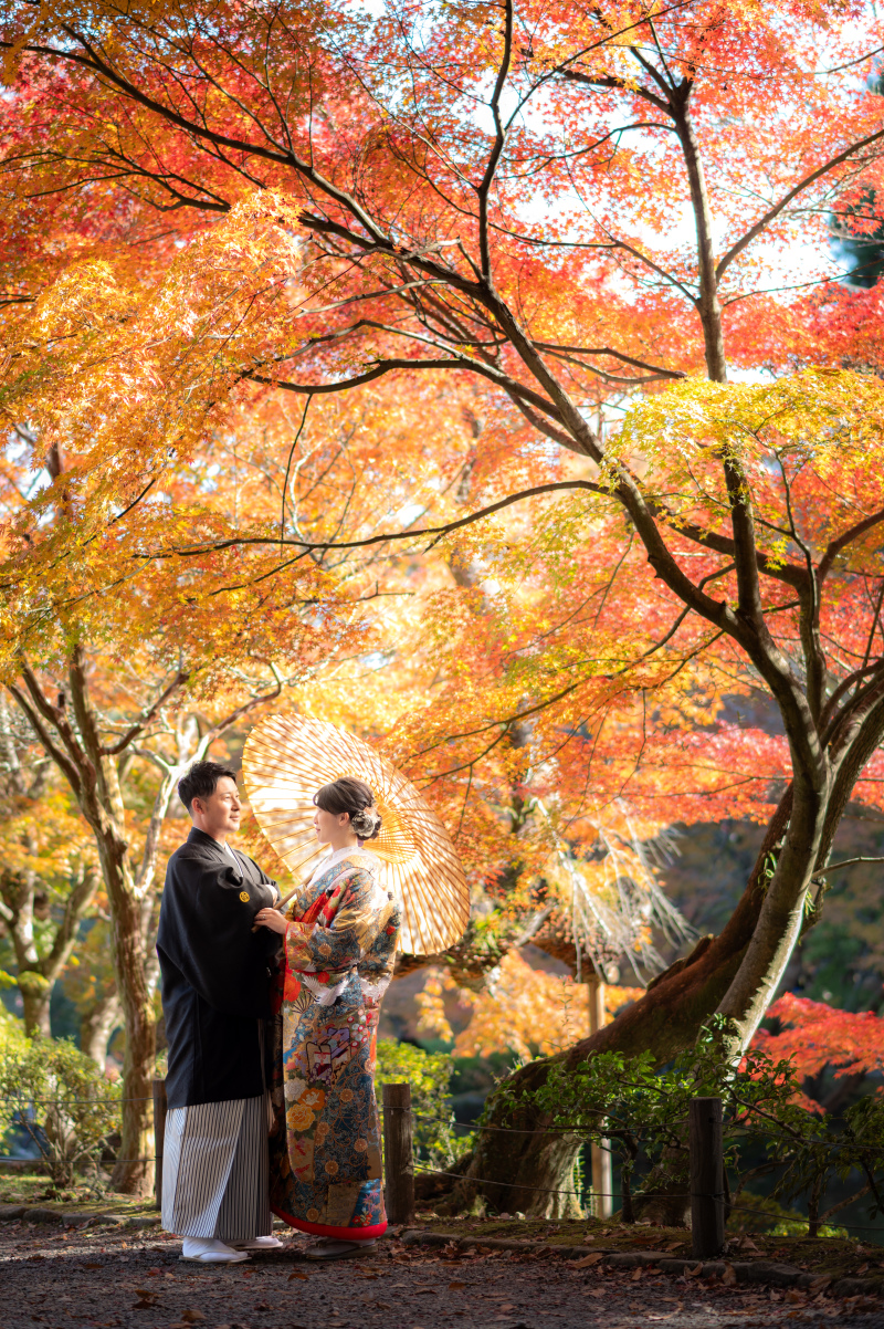 陽の光を活かしたショットです。