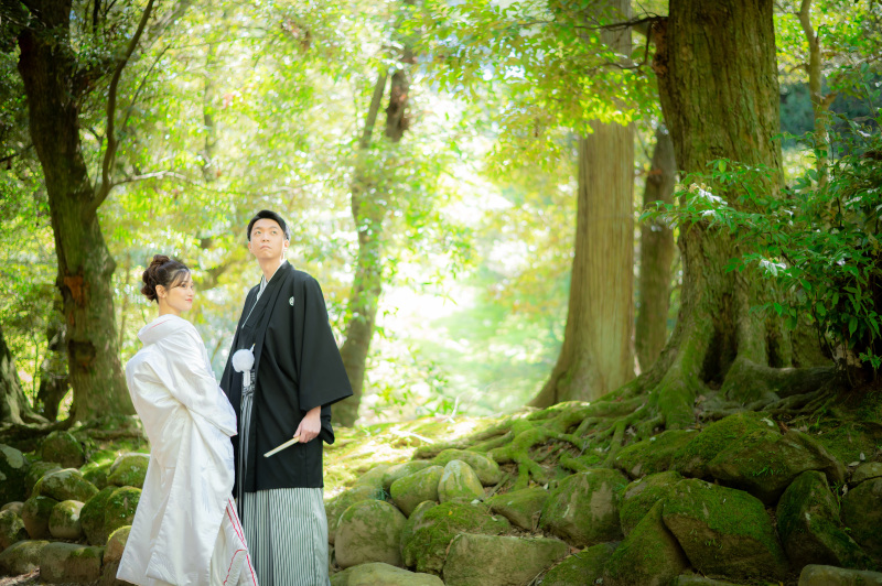 苔むした日本庭園。