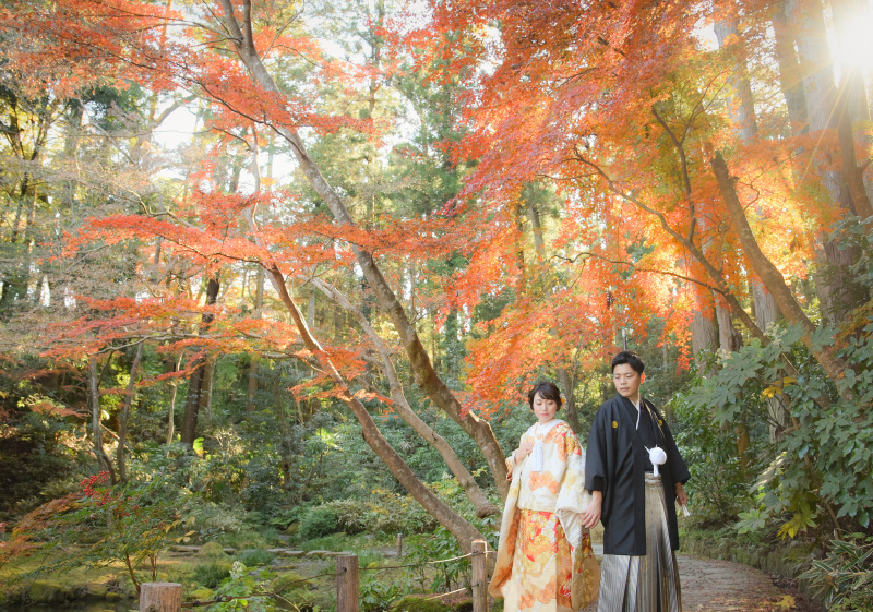 11月の成田山公園