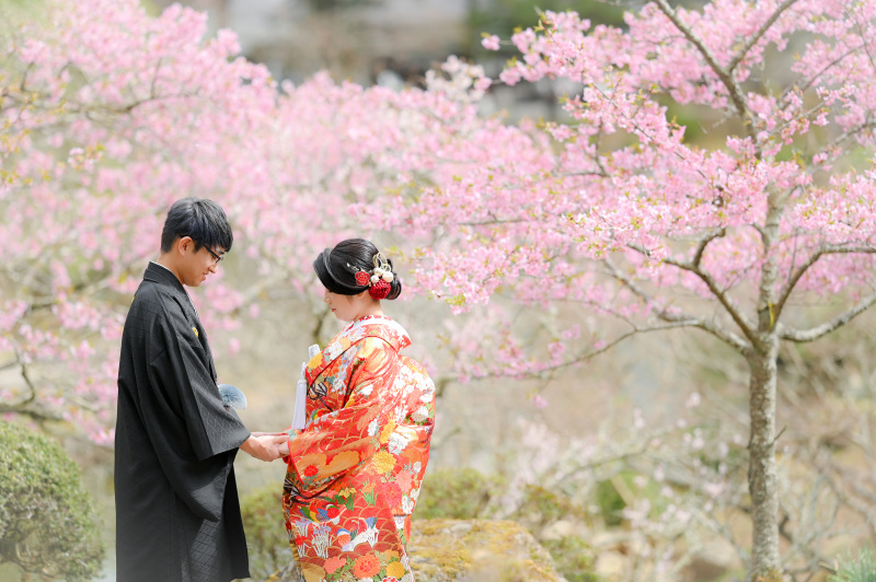 河津桜をバックに