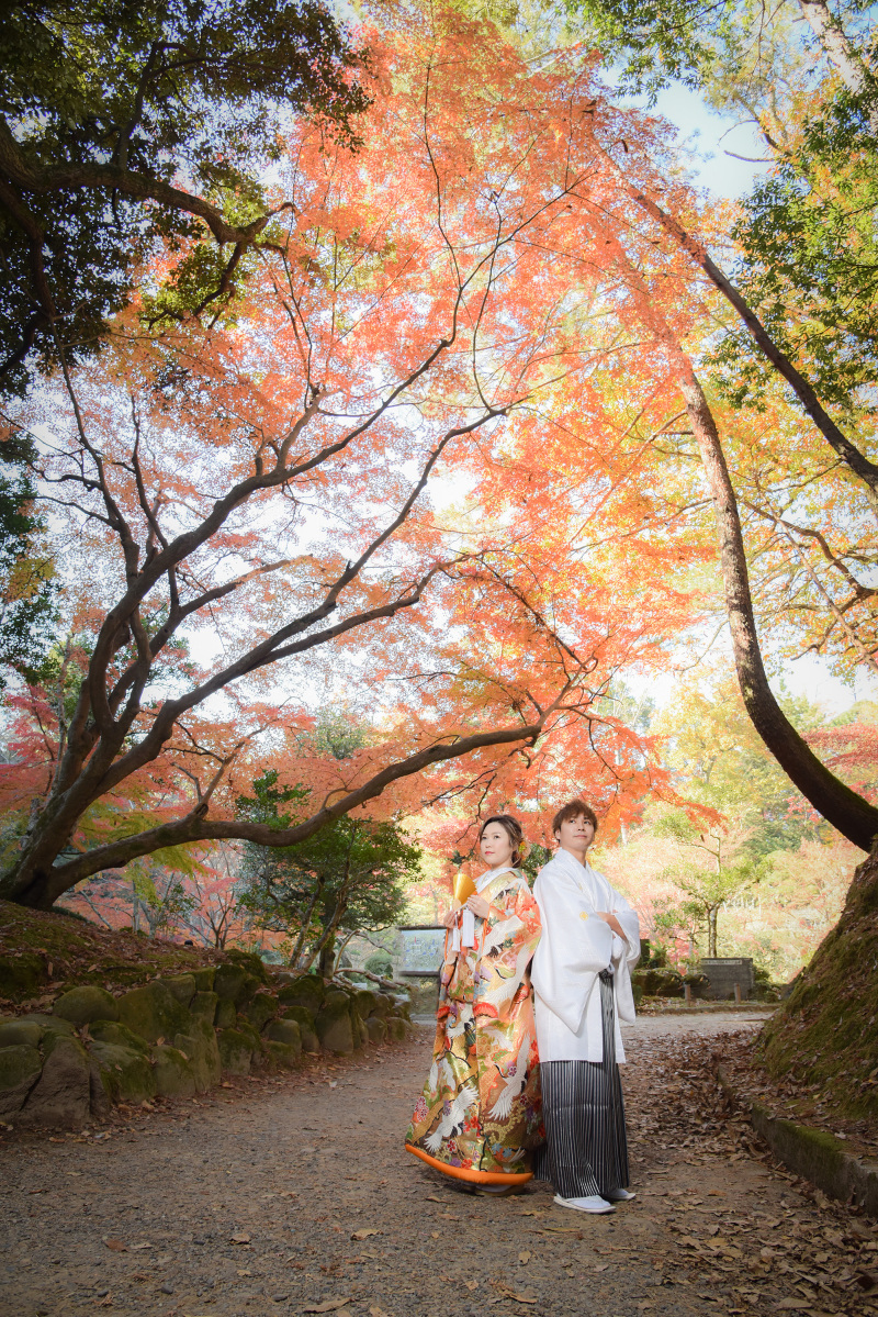 ダイナミック！