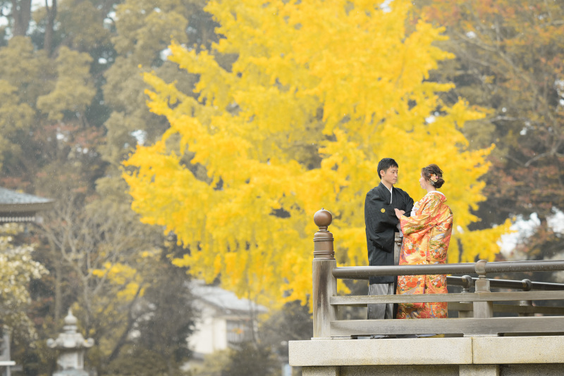 イチョウをバックに