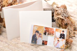 ロータス（２５カットアルバム）ブラウン