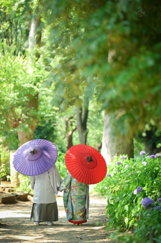 ロケーション撮影小物【番傘】