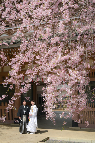 Atelier lotus_さくら東勝寺