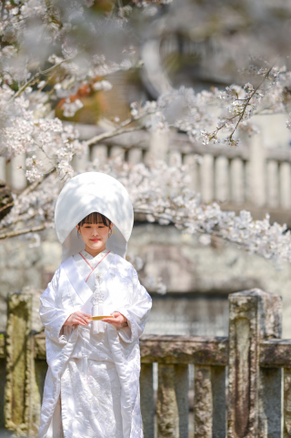 Atelier lotus_さくら成田山公園