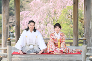 Atelier lotus_さくら成田山公園