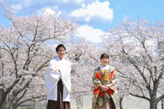 Atelier lotus_さくら成田山公園