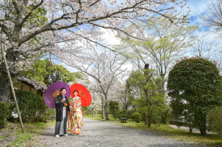 Atelier lotus_さくら成田山公園