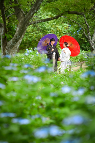 Atelier lotus_６月あじさい東勝寺