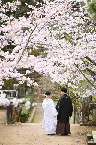 Atelier lotus_さくら成田山公園