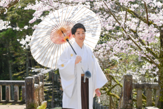 Atelier lotus_さくら成田山公園