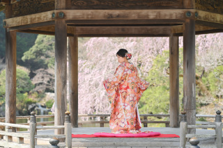 Atelier lotus_さくら成田山公園