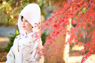 Atelier lotus_11月～12月東勝寺