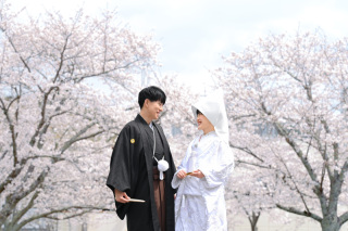 Atelier lotus_さくら成田山公園