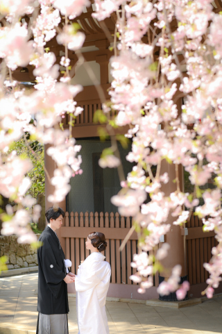 Atelier lotus_さくら東勝寺