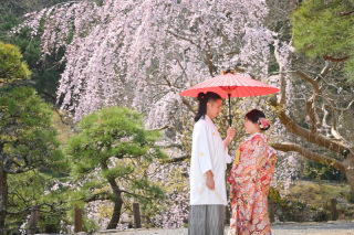 Atelier lotus_さくら成田山公園