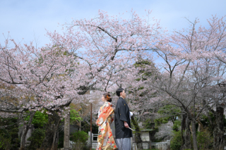 Atelier lotus_さくら東勝寺