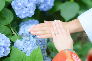 Atelier lotus_６月あじさい東勝寺